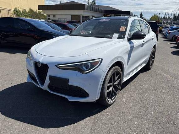 ALFA ROMEO STELVIO 2021 ZASPAKBN0M7D19595 image